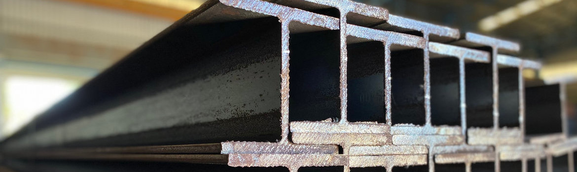 Standard I Sections